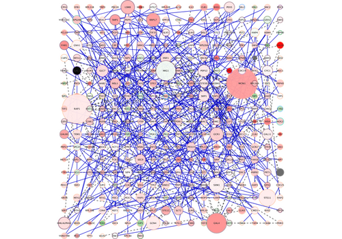 cytoscape visualization cytoscape visualization