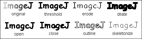Binary options imagej